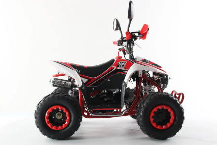 Квадроцикл MOTAX ATV Mikro 110cc, фото 2