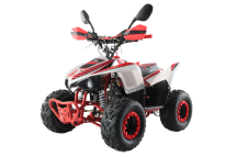 Квадроцикл MOTAX ATV Mikro 110cc Квадроцикл MOTAX ATV Mikro 110cc