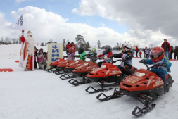 Снегоход РУССКАЯ МЕХАНИКА ТАЙГА Рысь Детский, фото 8