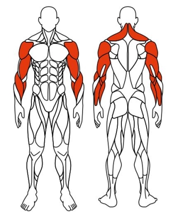 Рули (положение стоя) серый - Уличный тренажер - СТ 101-13, фото 6