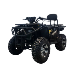 Квадроцикл Bizon ZX350, фото 8 Квадроцикл Bizon ZX350, фото 8