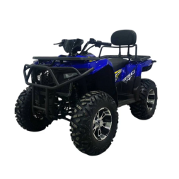 Квадроцикл Bizon ZX350, фото 7 Квадроцикл Bizon ZX350, фото 7