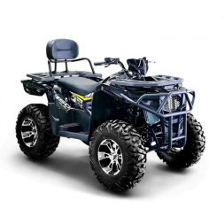 Квадроцикл Bizon ZX350, фото 6 Квадроцикл Bizon ZX350, фото 6