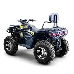 Квадроцикл Bizon ZX350, фото 3 Квадроцикл Bizon ZX350, фото 3