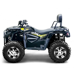 Квадроцикл Bizon ZX350, фото 2 Квадроцикл Bizon ZX350, фото 2