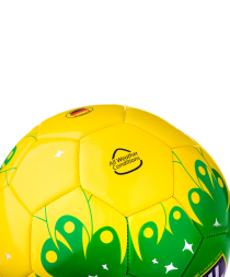 Мяч футбольный Brazil №5, фото 3