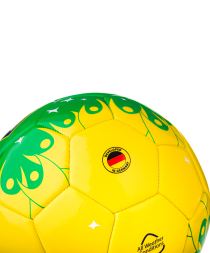 Мяч футбольный Brazil №5, фото 4