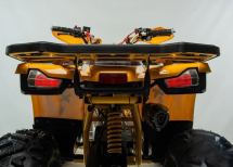 Квадроцикл MOTOLAND 125 Wild (2021 Г.) Квадроцикл MOTOLAND 125 Wild (2021 Г.)