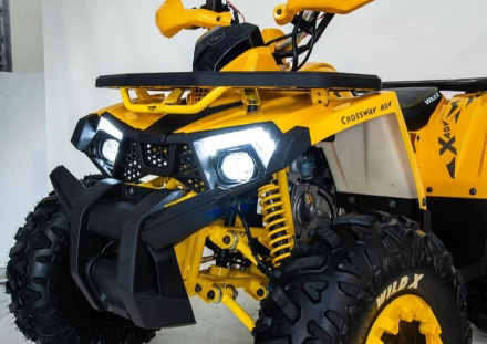 Квадроцикл MOTOLAND 125 Wild (2021 Г.), фото 2