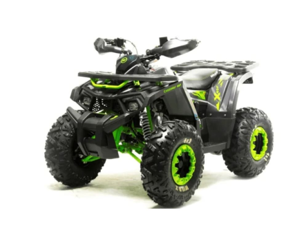 Квадроцикл MOTOLAND 125 Wild (2021 Г.), фото 1