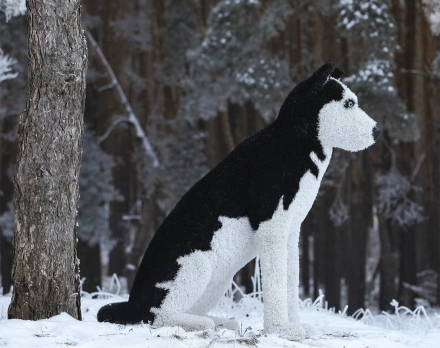 Топиари собака хаски, Бреста - газон Eco, фото 2