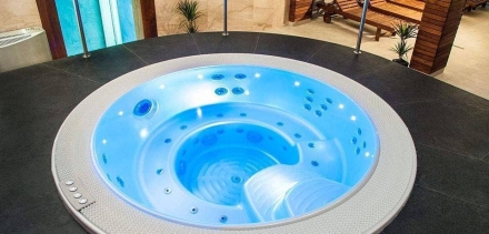 Спа-бассейн Wellis Acapulco Deep-In, фото 4