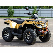 Квадроцикл IRBIS ATV 200