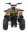 Квадроцикл ATV Termit TT