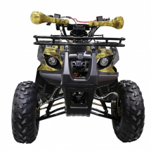 Квадроцикл ATV Termit TT