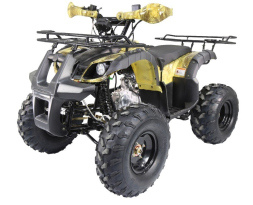 Квадроцикл ATV Termit TT, фото 1