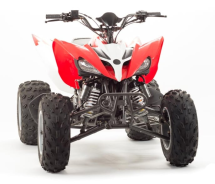 Квадроцикл MOTOLAND 125S (2020 Г.) Квадроцикл MOTOLAND 125S (2020 Г.)