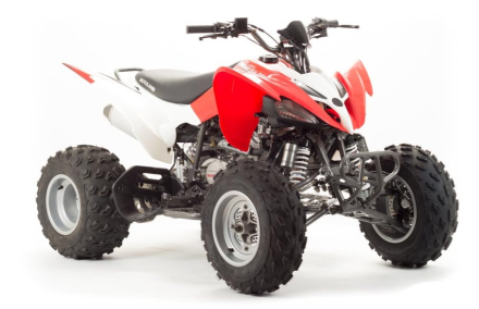 Квадроцикл MOTOLAND 125S (2020 Г.), фото 7