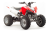 Квадроцикл MOTOLAND 125S (2020 Г.)