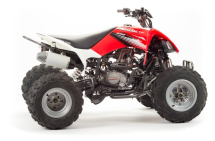 Квадроцикл MOTOLAND 125S (2020 Г.) Квадроцикл MOTOLAND 125S (2020 Г.)