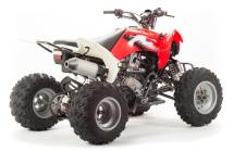 Квадроцикл MOTOLAND 125S (2020 Г.) Квадроцикл MOTOLAND 125S (2020 Г.)