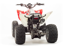 Квадроцикл MOTOLAND 125S (2020 Г.), фото 4 Квадроцикл MOTOLAND 125S (2020 Г.), фото 4