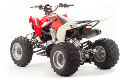 Квадроцикл MOTOLAND 125S (2020 Г.), фото 3 Квадроцикл MOTOLAND 125S (2020 Г.), фото 3