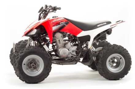 Квадроцикл MOTOLAND 125S (2020 Г.), фото 2