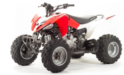 Квадроцикл MOTOLAND 125S (2020 Г.), фото 1 Квадроцикл MOTOLAND 125S (2020 Г.), фото 1