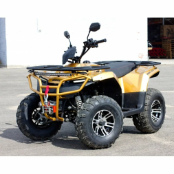 Квадроцикл IRBIS ATV 200 PREMIUM, фото 1