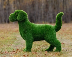 Топиари Собака охотничья газон Eco, фото 16