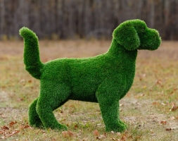 Топиари Собака охотничья газон Eco, фото 17