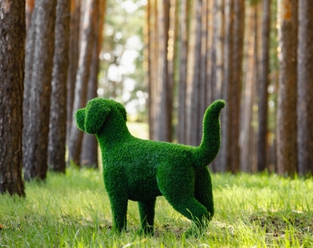 Топиари Собака охотничья газон Eco, фото 3