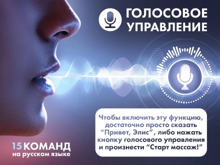 Массажное кресло FUJIMO 氣 FLEXOR F500 Brown, фото 7