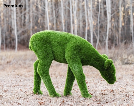 Топиари олень, Самочка - газон Premium, фото 1