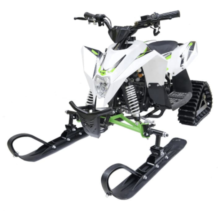 Снегоход MOTAX Gekkon, фото 1