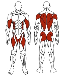 Гребля (зеленый) - Уличный тренажер - СТ 008-12.П, фото 6 Гребля (зеленый) - Уличный тренажер - СТ 008-12.П, фото 6