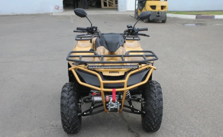 Квадроцикл IRBIS ATV 250 Premium, фото 3