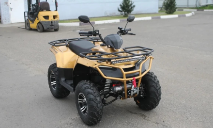 Квадроцикл IRBIS ATV 250 Premium, фото 2