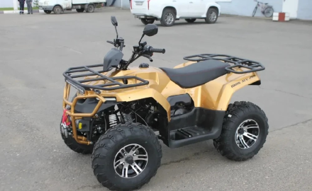 Квадроцикл IRBIS ATV 250 Premium, фото 1