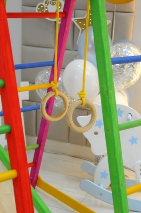 Детский спортивный комплекс PERFETTO KIDS Pappagallo PS-231, фото 5