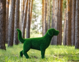 Топиари Собака охотничья газон Deluxe, фото 8