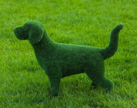 Топиари Собака охотничья газон Deluxe, фото 12