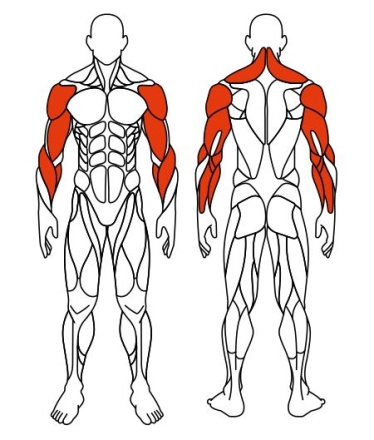 Рули (положение стоя) красный - Уличный тренажер - СТ 103-11, фото 6