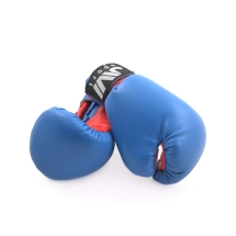 Набор для бокса детский