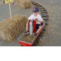 Садовая железная дорога с дрезиной Садовая железная дорога с дрезиной