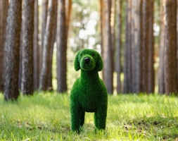 Топиари Собака охотничья газон Premium, фото 15