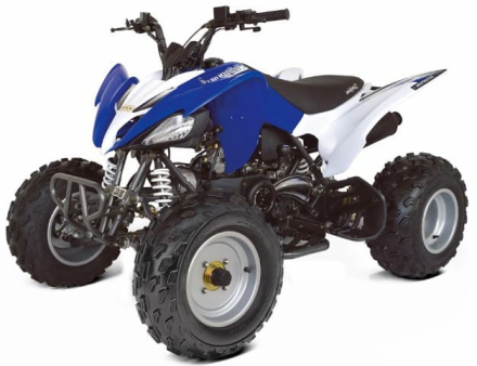 Квадроцикл ABM Scorpion 250, фото 3