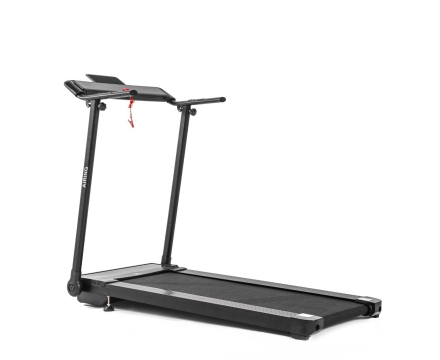 Беговая дорожка DFC Airing T110, фото 1