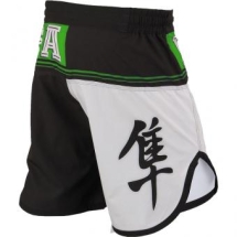 Шорты Hayabusa hayshorts039
